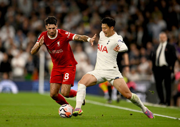 职业方向的 职业方向的