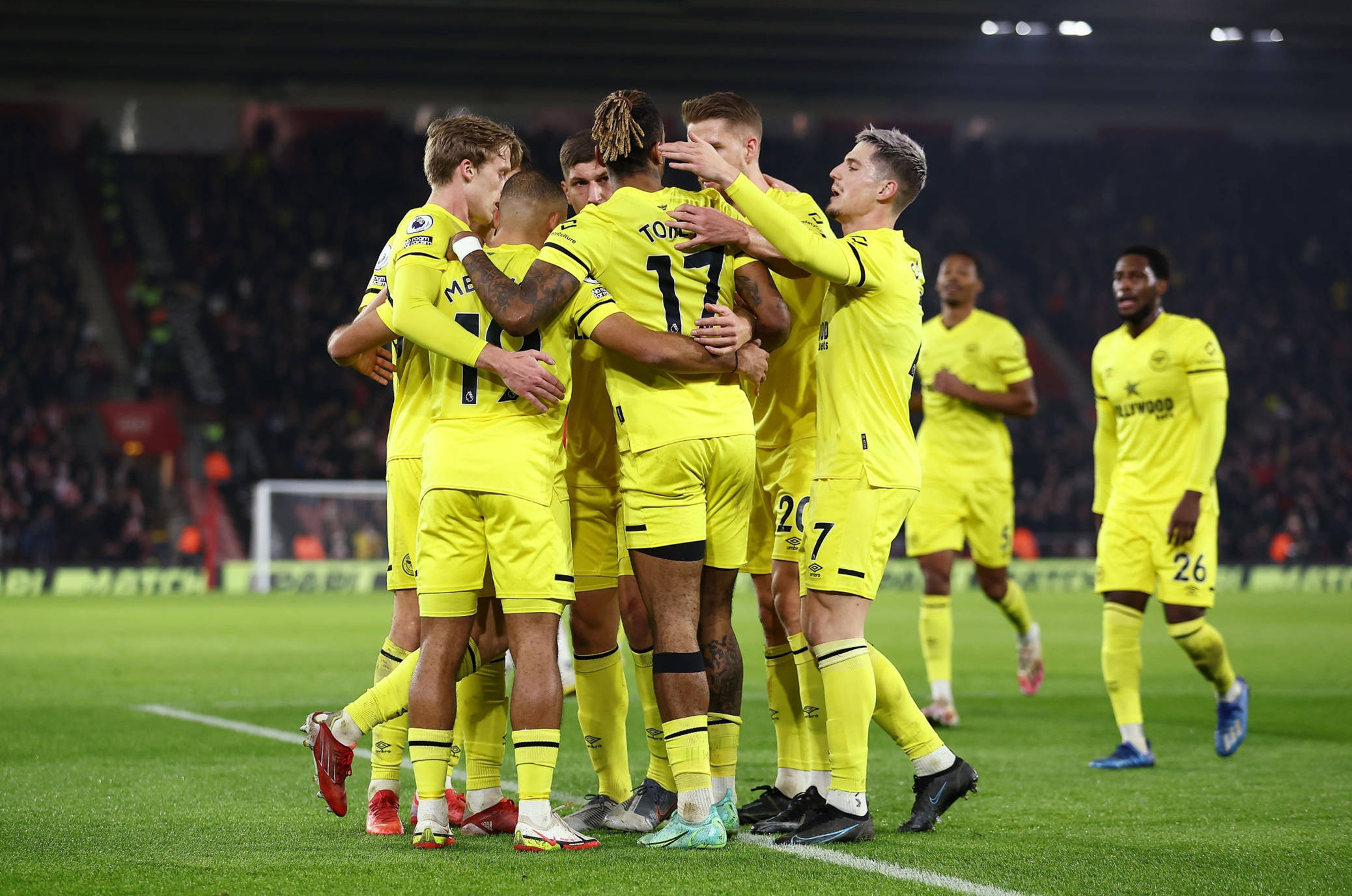 的新面孔 的新面孔